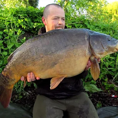 Willow 13 Hot Tub Prázdninový dům York